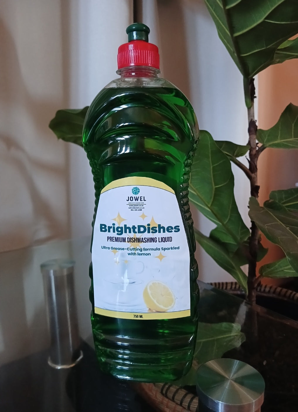 BrightDishes Dishwashing Liquid